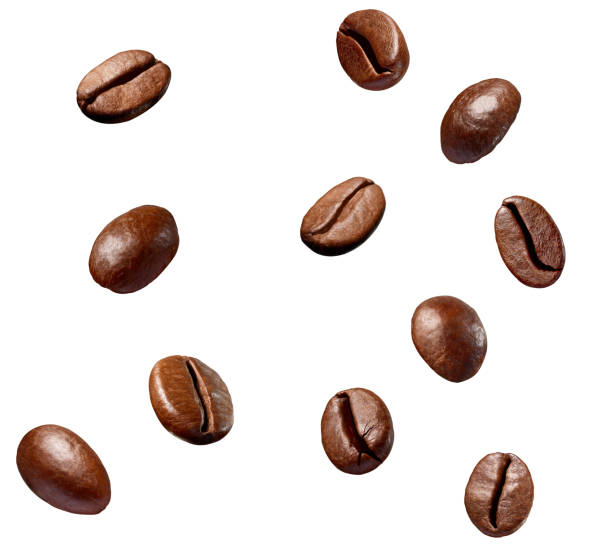 istock coffee bean brown roasted caffeine espresso seed 1317651643