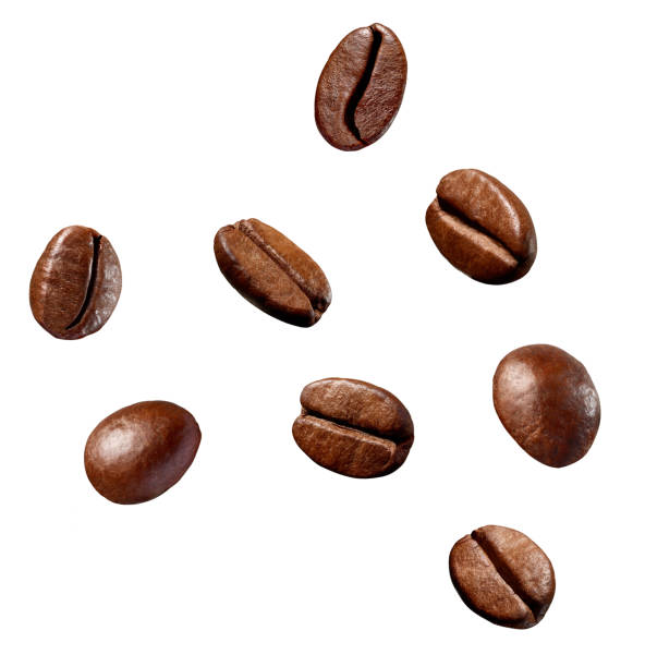istock coffee bean brown roasted caffeine espresso seed 1317651690