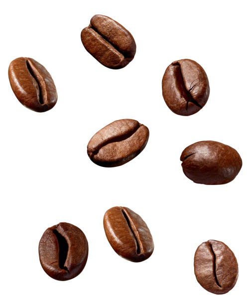 istock coffee bean brown roasted caffeine espresso seed 1317651803