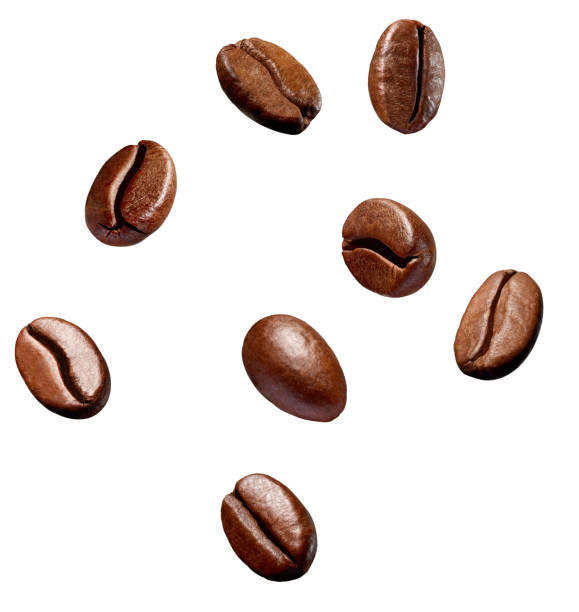 istock coffee bean brown roasted caffeine espresso seed 1317651823