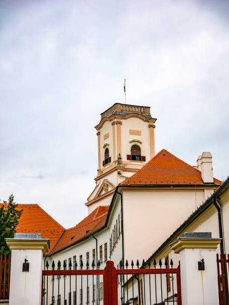 istock Church in Gyor, Hungary 1317652479