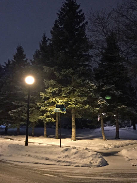 istock Street Corner in Winter at Night 1317652691