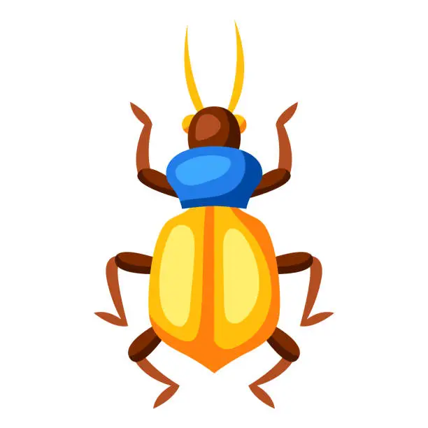 Vector illustration of Illustration of colorful beetle. Stylized decorative insect.