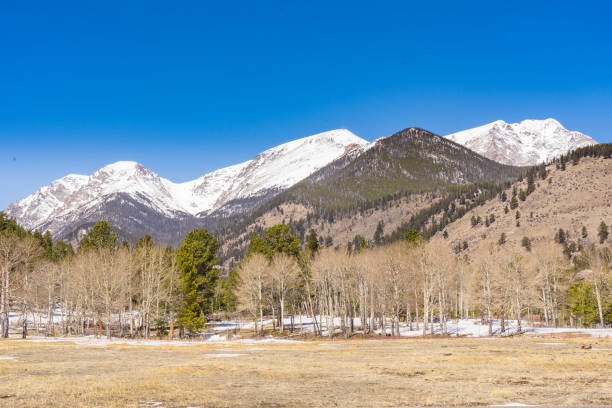 istock Mountains in Rocky Mountain National Park 1317658816