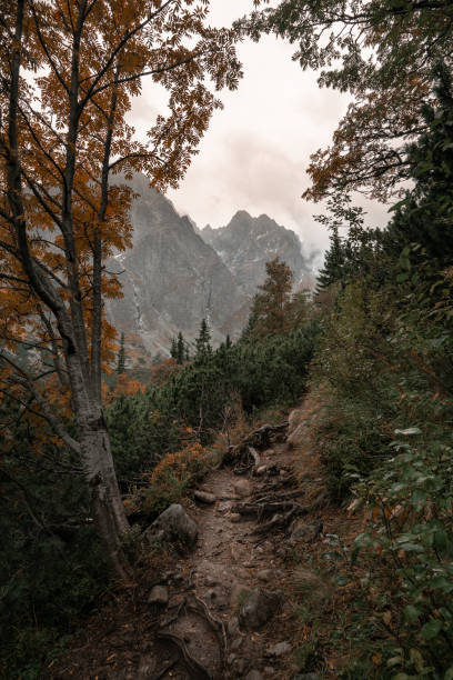istock Autumn hike in High Tatras, Slovakia 1317660772