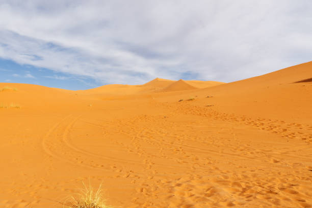 サハラ砂漠。モロッコ - landscape desert wave pattern erg chebbi dunes ストックフォトと画像