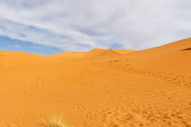 пустыня сахара. марокко - landscape desert wave pattern erg chebbi dunes стоковые фото и и�зображения