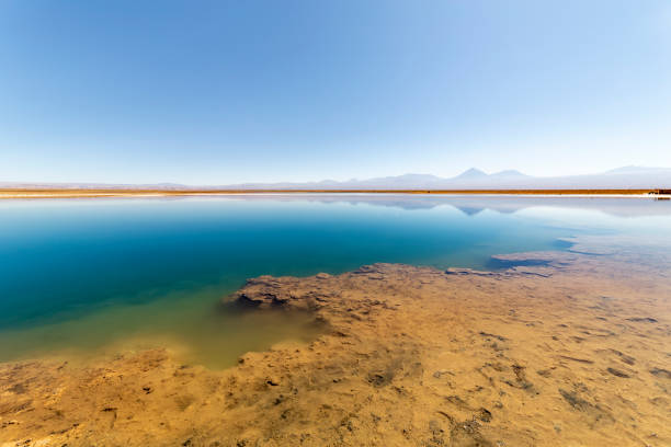 istock View of the Laguna Lagoon Cejar, Chile 1317661952