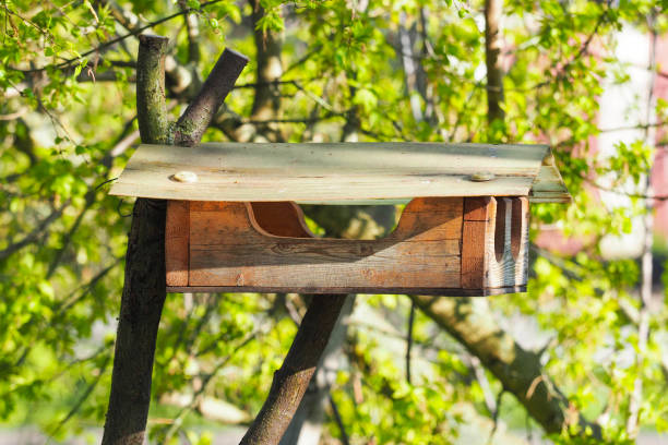 tierfutter im garten. tier holzhaus auf baum - birdhouse animal nest house residential structure stock-fotos und bilder