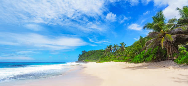 istock beautiful paradise beach,white sand,turquoise water,palms, seychelles 1317663840