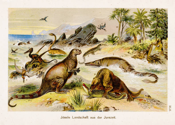 Landscape from the jurassic period Chromolithography 1899 F. Martin's Natural History. Large edition. Revised by M. Kohler, 1899 extinct stock illustrations