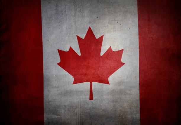 istock Grunge Canadian flag 1317666022