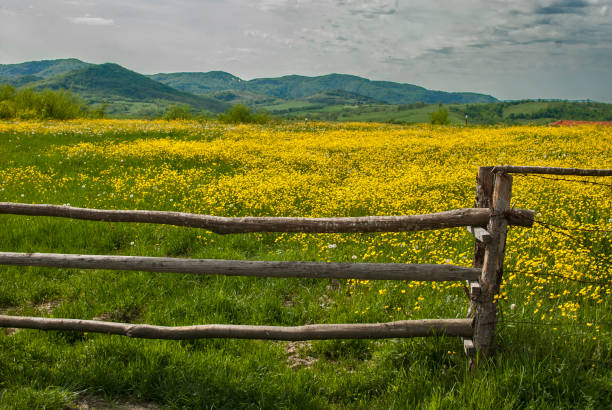 istock Countryside landscape closeup 1317667227