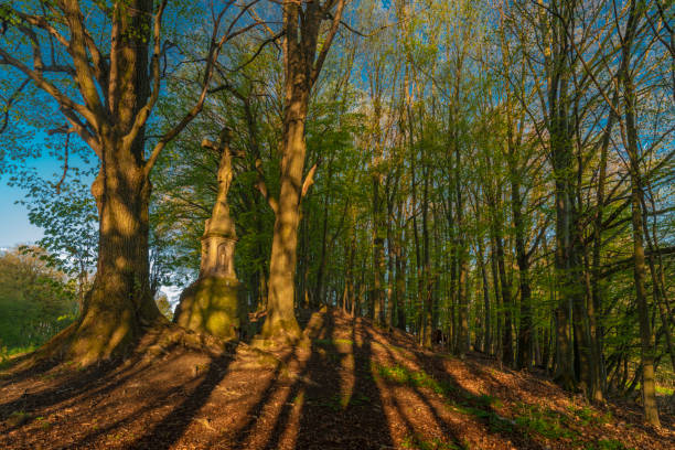 kruzifix in der nähe von großen baum über vizovice stadt in sonnigen frühling frischen morgen - zlin stock-fotos und bilder