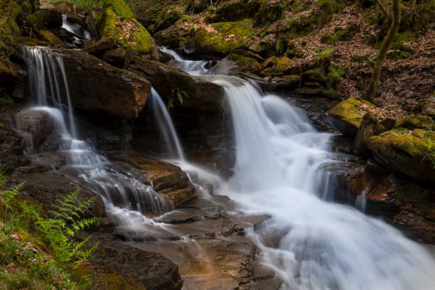 istock Melincourt Brook in Resolven 1317668632