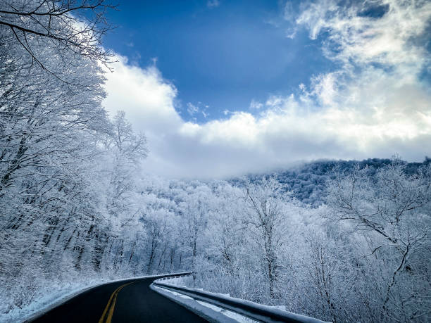 снег - roan mountain state park стоковые фото и изображения