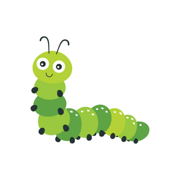 10,862 Caterpillar Illustrations Illustrations & Clip Art - iStock