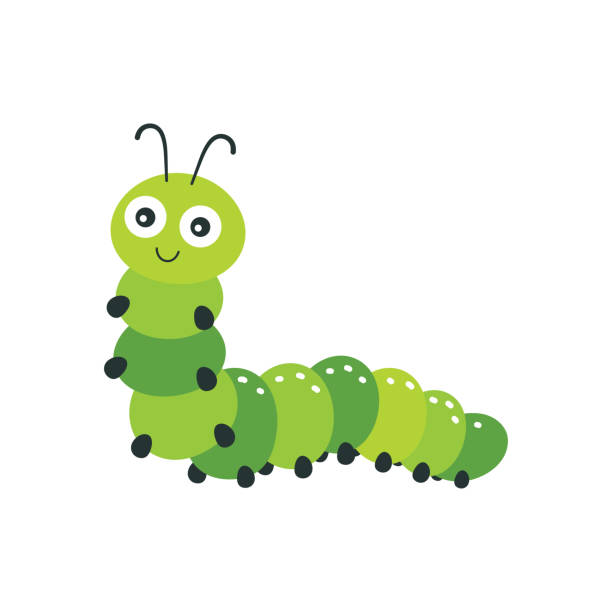 1,700+ Caterpillar Clip Art Illustrations, Royalty-Free Vector Graphics & Clip Art - iStock