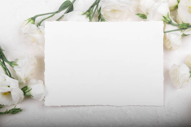 istock empty card mockup with blooming white eustoma lisianthus flowers 1317670324