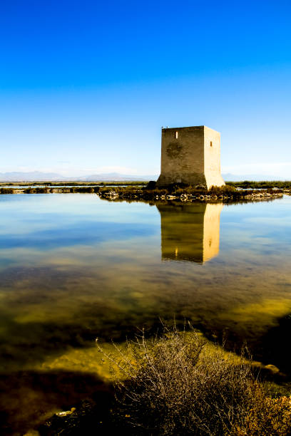 istock Tamarit tower surrounded by salt lagoons in Santa Pola 1317670749