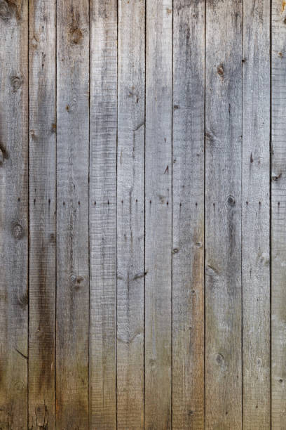 istock gray dry wooden planks wall suface texture and background 1317673457