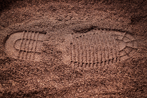 Footprints on the sand on the beach