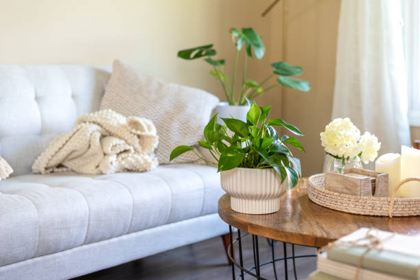 istock Stylish living room with houseplants 1317674850