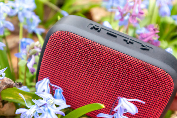 istock Red portable audio speaker in nature flowers close 1317675650