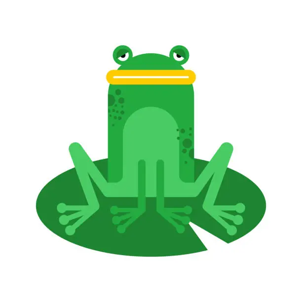 Vector illustration of Frog cartoon isolated. frog sitting on lily. vector illustration