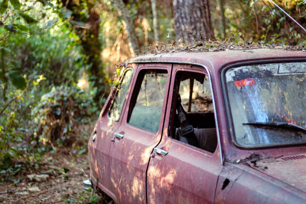 lato auto arrugginito rotto rosso con porte chiuse su uno sfondo blucerca del paesaggio verde - vehicle door rusty old fashioned old foto e immagini stock