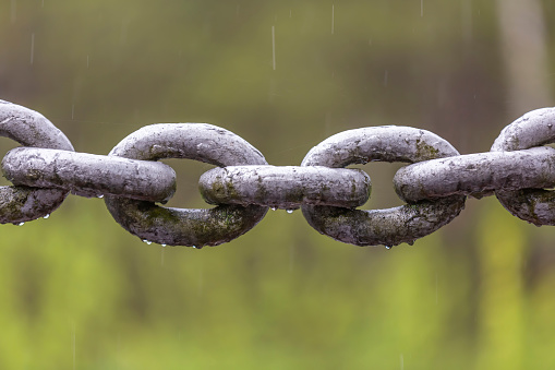 Thick iron chain with water drops on links in the rain on blurred background