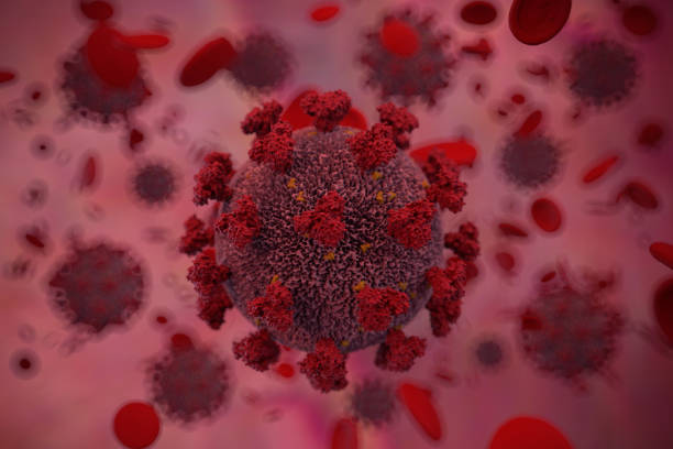 istock Coronavirus with lymphocytes in human blood. 3D render 1317680934