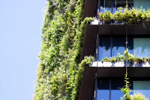 istock Closeup appartment building with vertical garden, background with copy space 1317681287