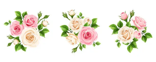 Vector illustration of Set of pink and white roses. Vector illustration.
