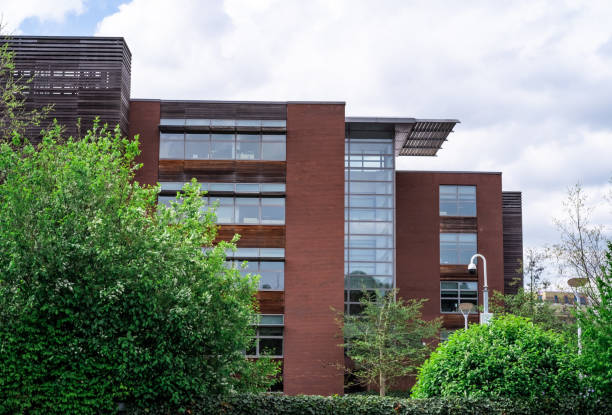 istock Modern day commercial tower block 1317682664