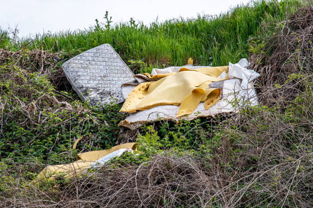 istock Old used mattress and sponge pieces in nature 1317684750