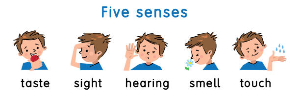 значок пяти чувств. прикосновение, вкус слух запах зрения - snorting stock illustrations