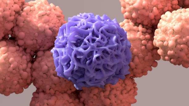istock Macrophage devouring a cancer cell, immune cells capable of physically ingesting damaged or diseased cells, cancer immunotherapy 1317697218