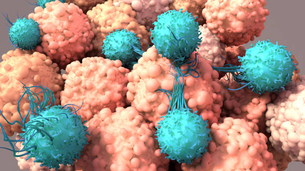 t細胞はがん、免疫療法、car t細胞療法、3dレンダリンと闘うために働く - anti cancer ストックフォトと画像