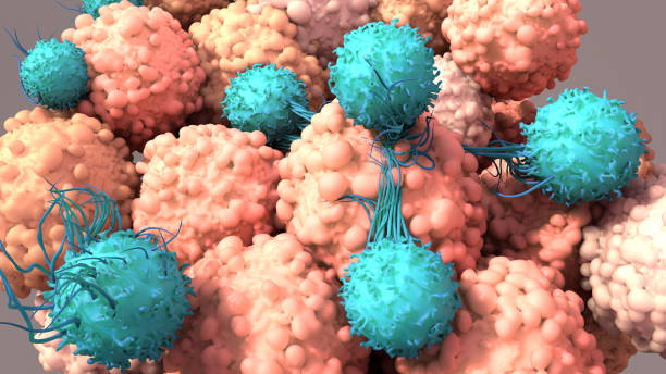 t 세포는 암, 면역 요법, car t 세포 치료, 3d 렌더린과 싸우기 위해 노력합니다. - anti cancer 뉴스 사진 이미지