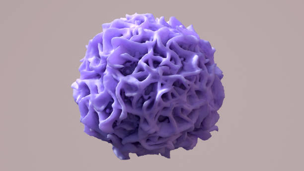 istock Macrophage devouring a cancer cell, immune cells capable of physically ingesting damaged or diseased cells, cancer immunotherapy 1317697231