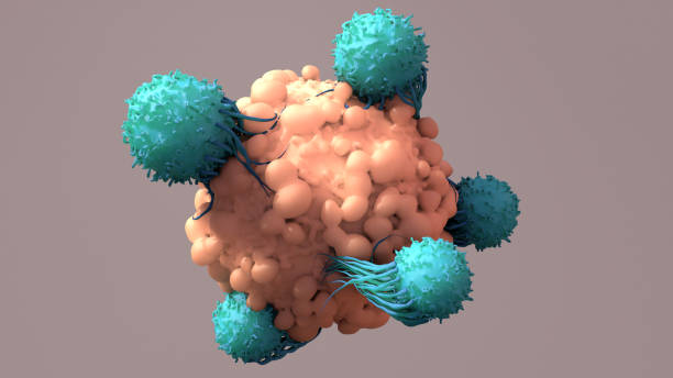 las células t trabajan para combatir el cáncer, la inmunoterapia, la terapia con células t car, la renderina 3d - anti cancer fotografías e imágenes de stock