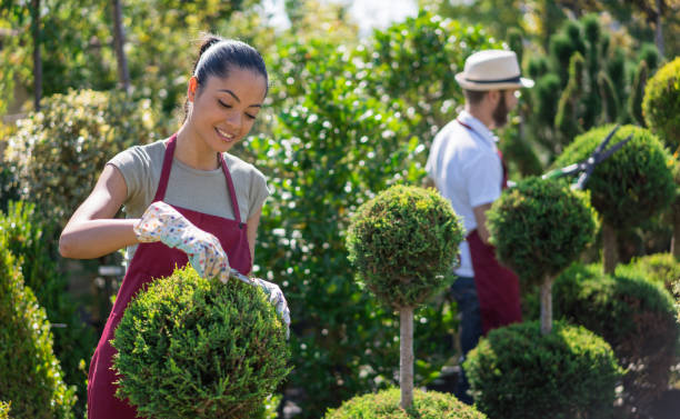 istock Workday at the garden center 1317698038