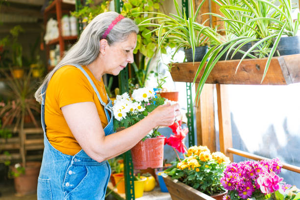 istock Plant nursery owner arranging the shop 1317700370