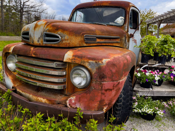 istock Abandoned Old Car with Flowers 1317702724