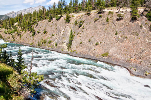 istock Roaring Rapids Flowing Toward Bow Falls in Banff National Park 1317703479