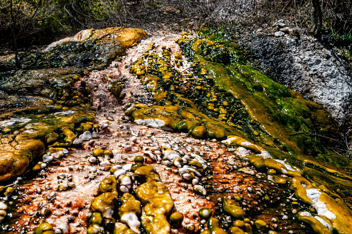 Taupo, New Zealand.