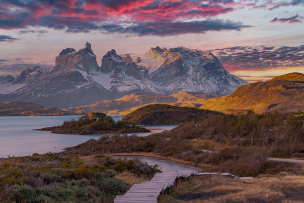 torres del paine national park, chile. (torres del paine national park) - patagonia imagens e fotografias de stock