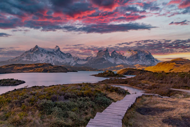 istock Torres del Paine National Park, Chile. (Torres del Paine National Park) 1317711552