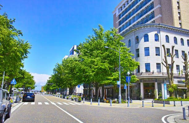 鮮緑横浜 - 横浜 ストックフォトと画像